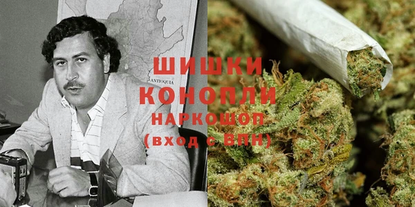 прущие грибы Абдулино