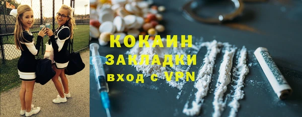 ешки Вяземский