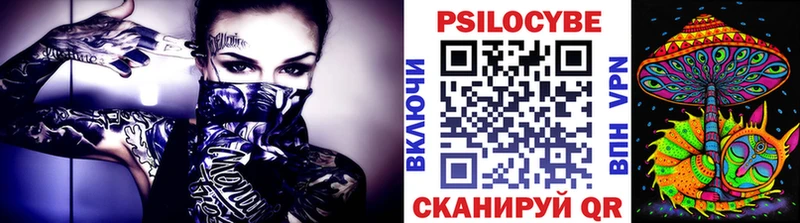 мега ссылка  Нелидово  Галлюциногенные грибы Psilocybe 